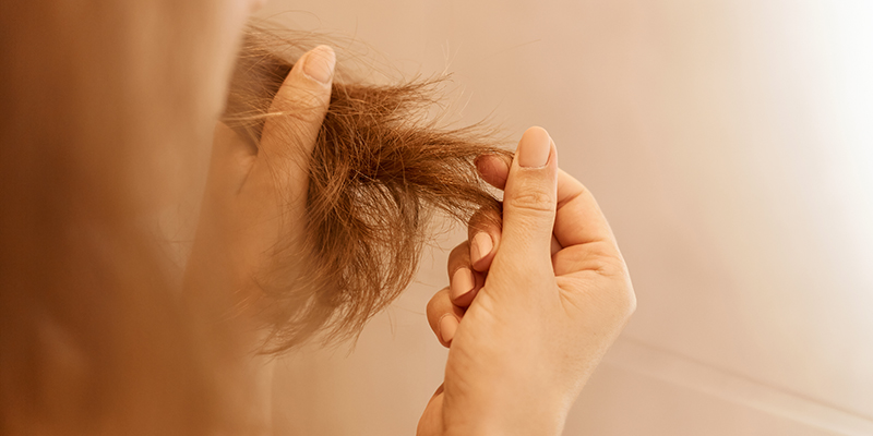 Closeup portrait of woman hands holding dry damaged hair eds, having trichology problem.