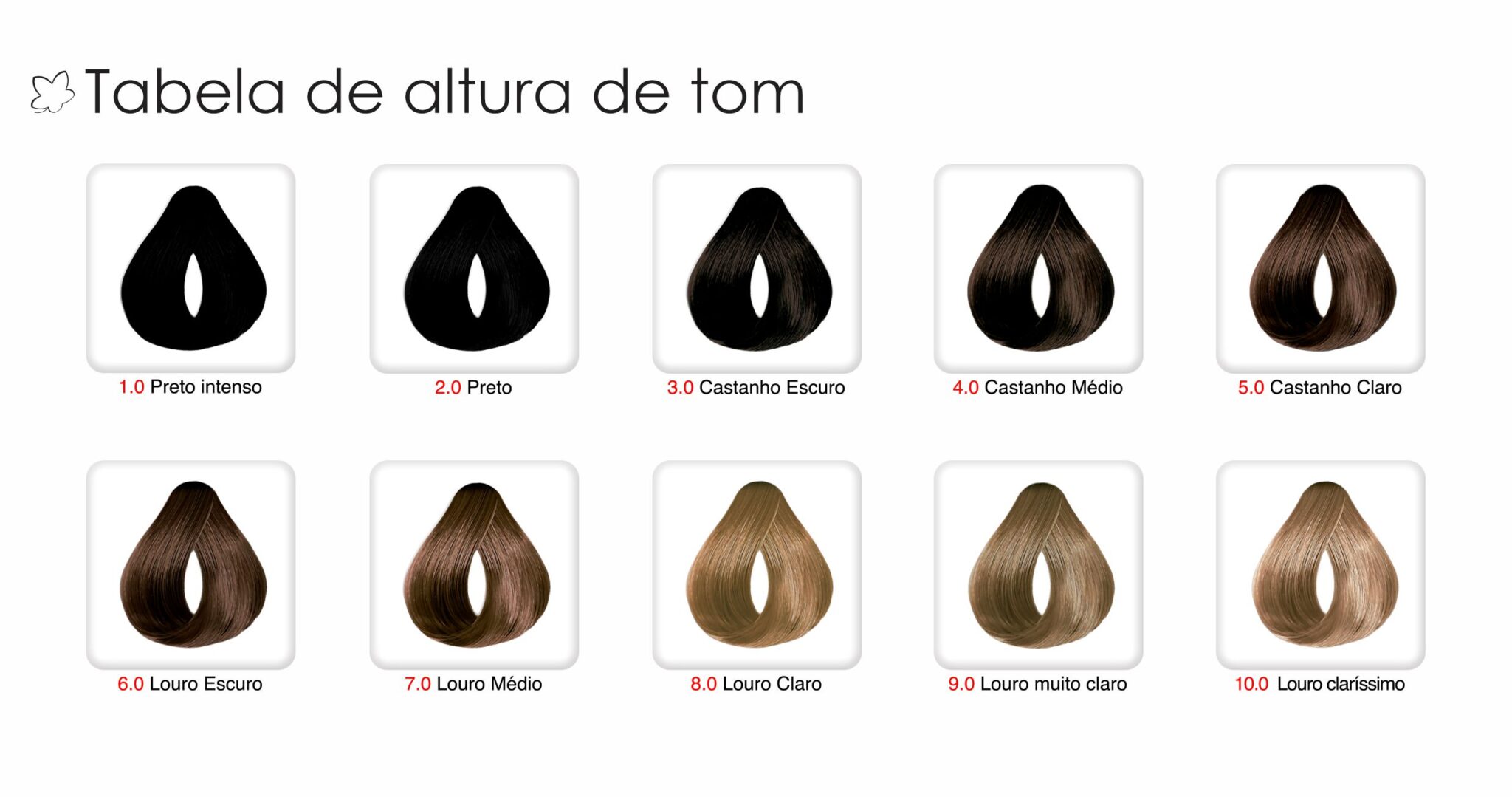 Coloração: o que você precisa saber – Clorofitum Blog