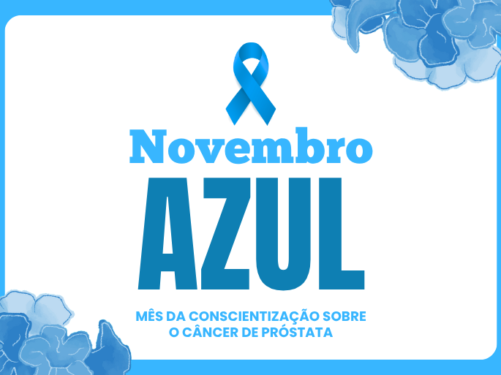 CAPA NOVEMBRO AZUL 2